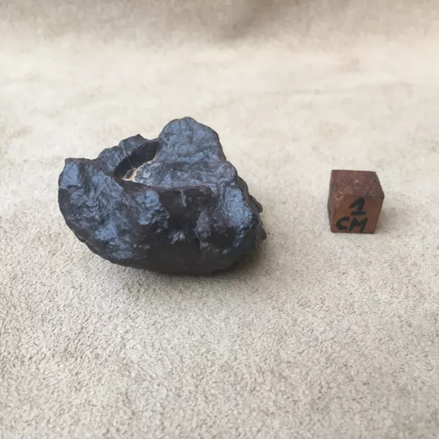 Meteorite Nwa Chondrite Maroc / Sahara / 66 Grammes / 2019