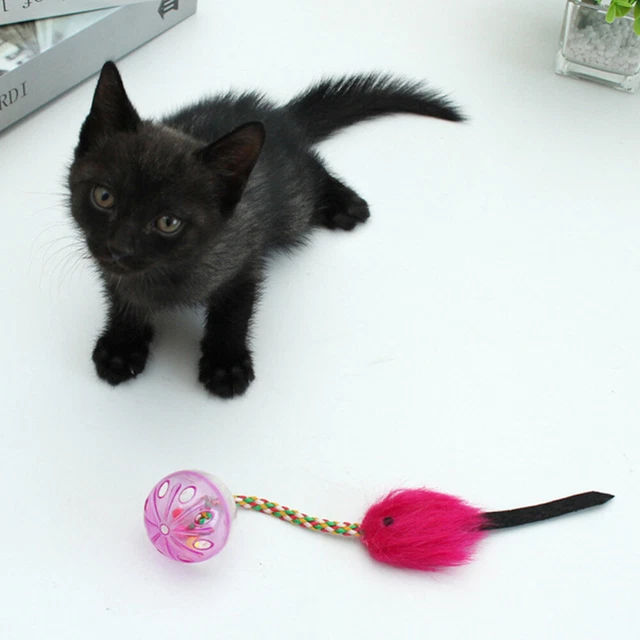 3 Pcs Kitten Pompom Toys Cat Toy Kitten Toys Indoor Cats Sports 3