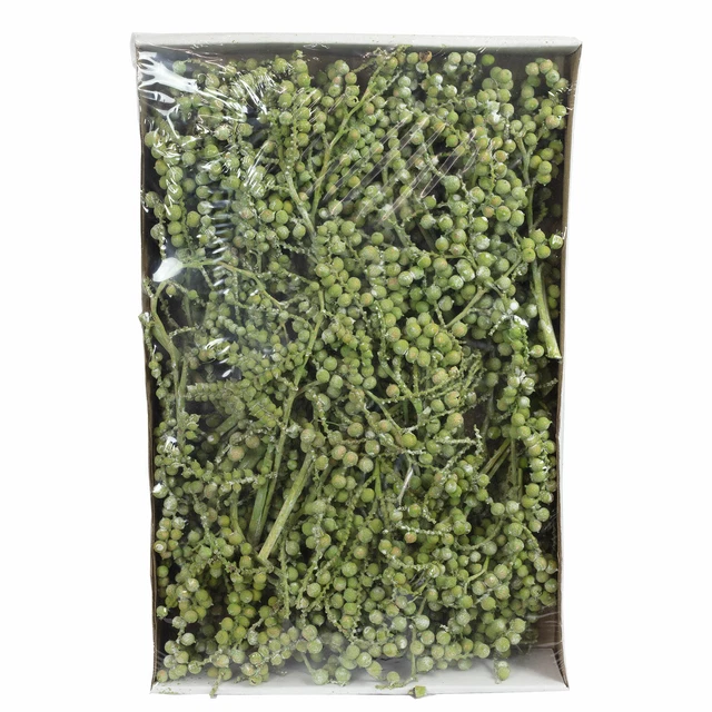 Canella normal - 40 piezas/caja - verde helada