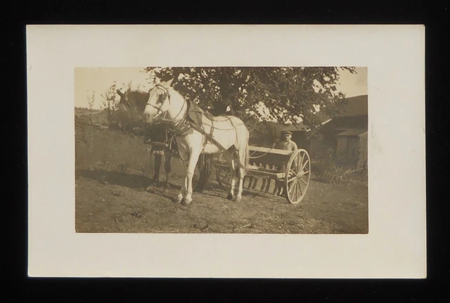 RPPC 1900s? FARMING Farmer with Seed Drill Black and White Horse Implement