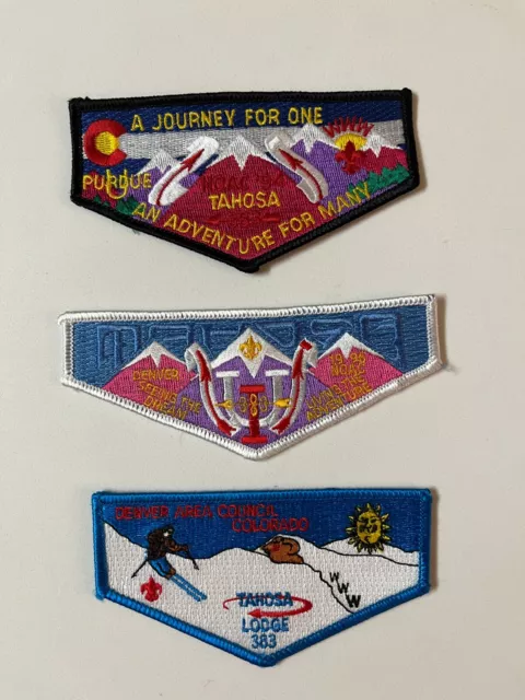 Boy Scout OA 383 Tahosa Lodge Flap S20 S21 S22 1994 1996 NOAC Skiing Issue