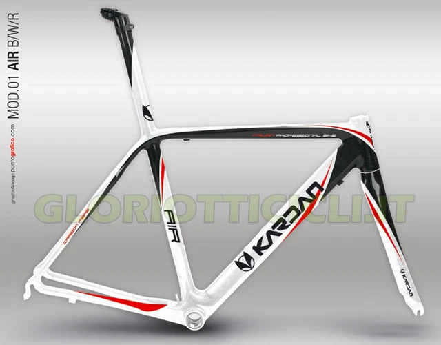 KARDAN TELAIO CORSA CARBONIO MONOSCOCCA EUR 990,00 PicClick IT
