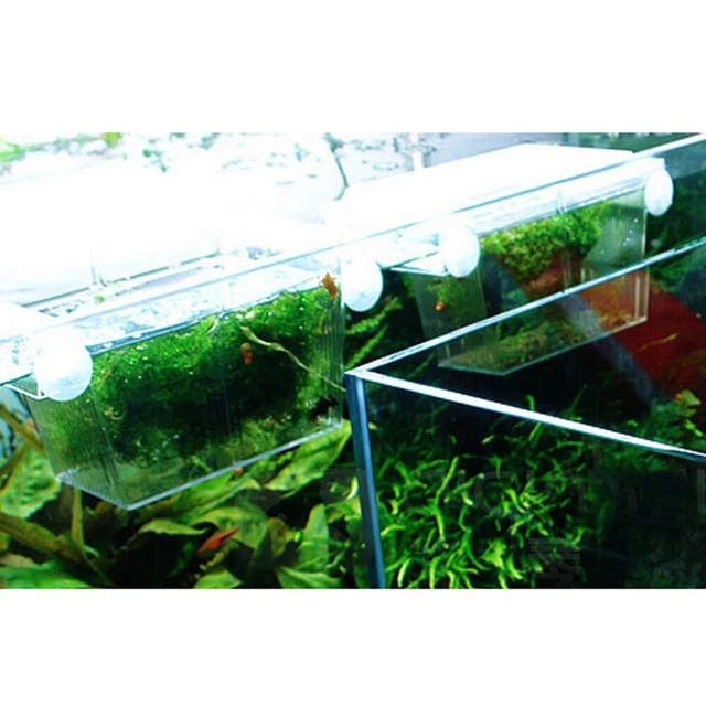 Transparent Fish Tank Breeding Isolation Box Aquarium Incubator Hatching Boxes 3
