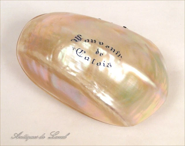 Boîte à Bijoux En Coquillage Et Nacre – époque 1900, Souvenir Bord De Mer, Occasion Très Bon état