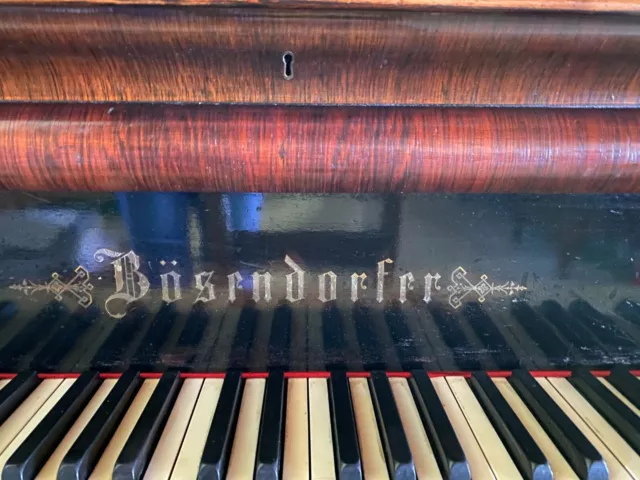 Bosendorfer 7‘10" Grand Piano! Super Rare! The best of the best for Pianist Pro.