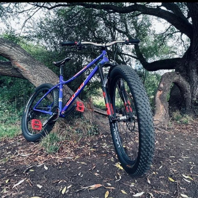 Hardtail with fox 36 cheap