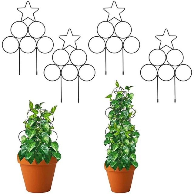 Fleur Support pour plantes Cadre d'escalade Support d'escalade Tige de fixation