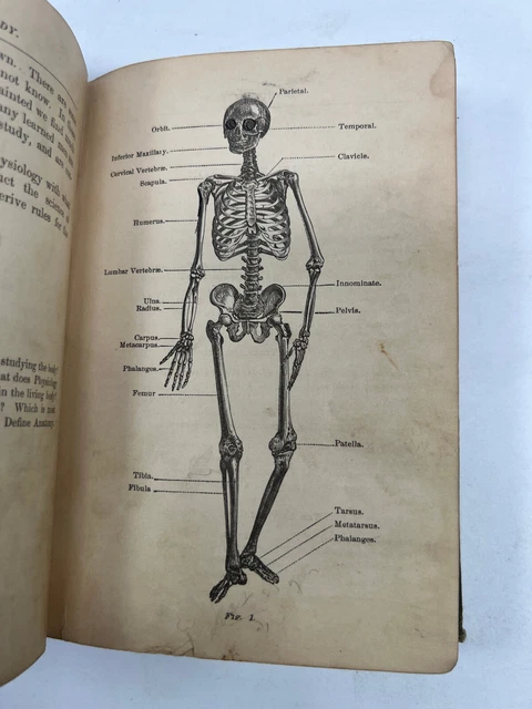1800's Human Body and Health William Smith hygiene antique medical book oddity