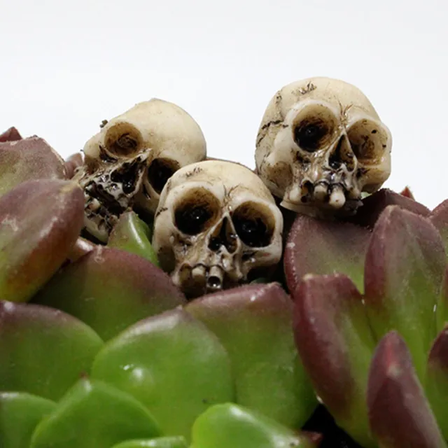 Skeleton Head Mini Skeleton Head 20 Pieces Small Mini Skulls Decor For Garden