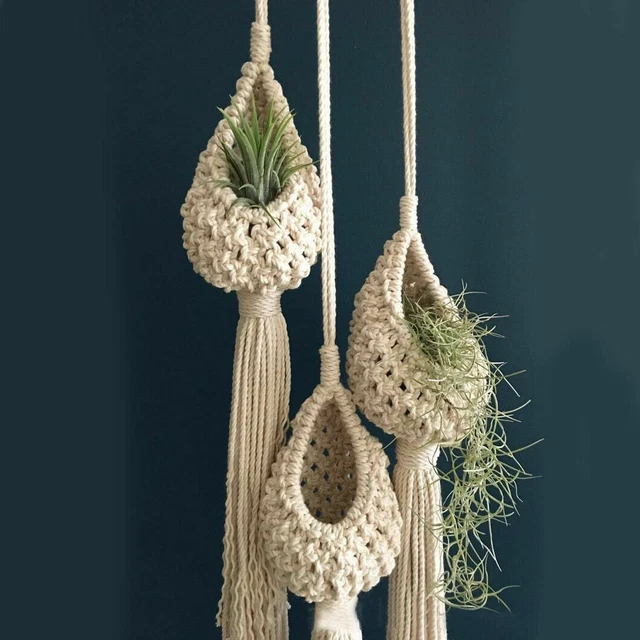 1x Macrame Air Plant Hanger Tillandsias Hanging Basket Rope Holder Home Decor US