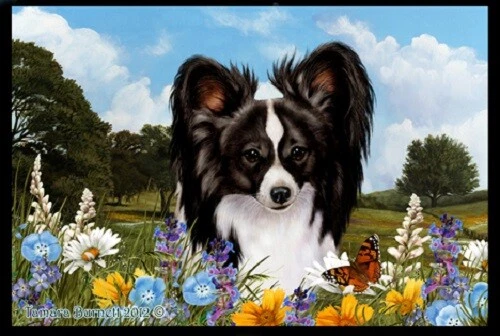 Summer Floor Mat - Black and White Papillon 39078