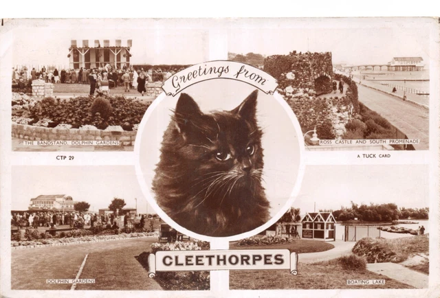 Tuck Topigraphical Old  Postcard Cleethorpes Boating Lake Used Unused Gd +