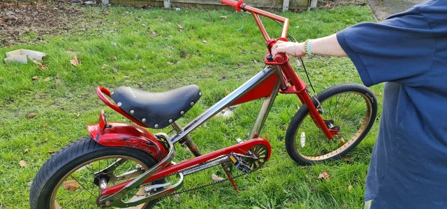 Push bike cruiser online