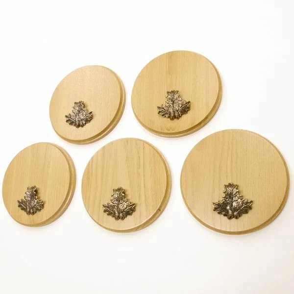 5 Pieza Keilerschilder Redondo Roble Claro Af 17 CM Con 5 X Portada Pequeño