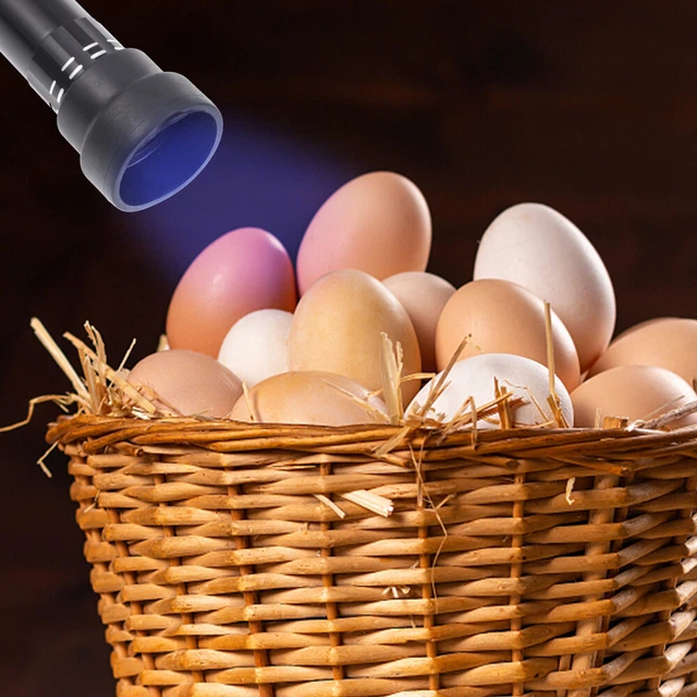 1pc Led Egg Candler Egg Candler Lampe Mirage des oeufs Machine 7