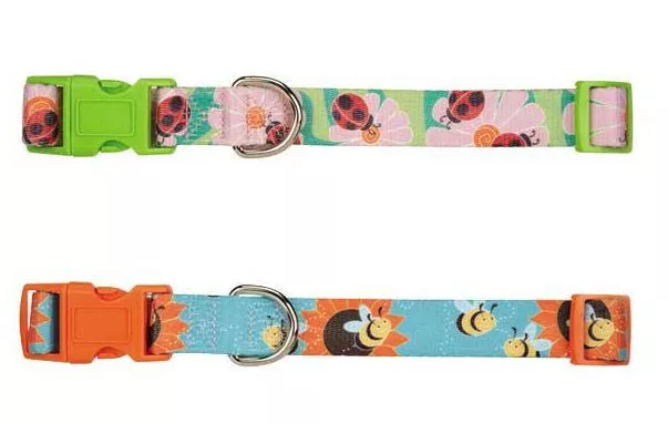 Zack & Zoey Flutter Bugs Nylon Dog Collar Collars Pet Lady Bug Bee Dogs Puppy
