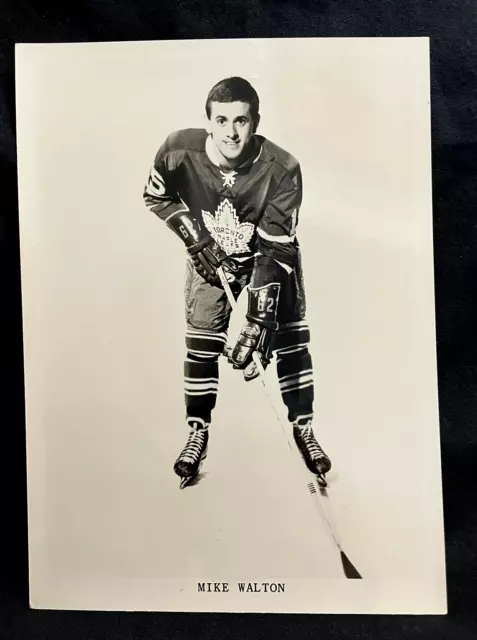NHL Toronto Maple Leafs CAPTAIN Tribute Color 8 X 10 Photo Picture