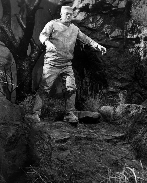LON CHANEY JR GHOST OF FRANKENSTEIN MONSTER CLASSIC 8X10 PHOTO 1zz