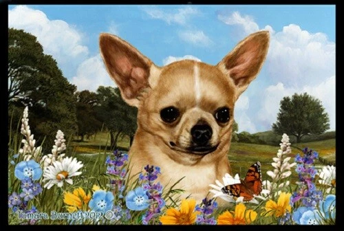 Summer Floor Mat - Chihuahua 39046