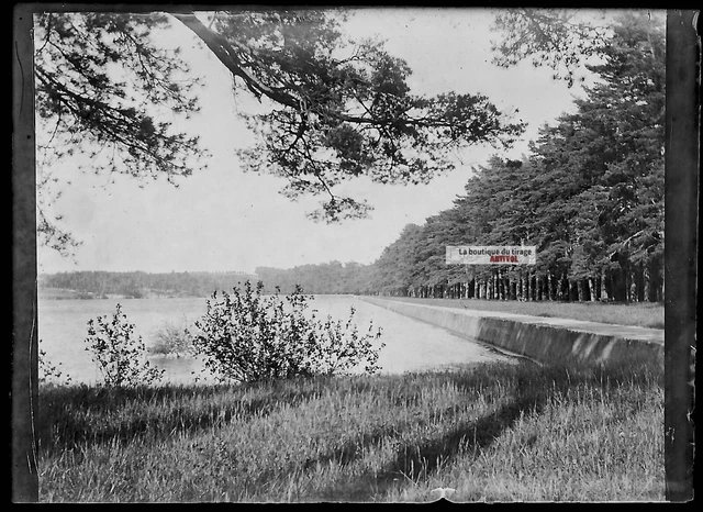 Plaque verre photo ancienne négatif noir et blanc 6x9 cm lac nature paysage
