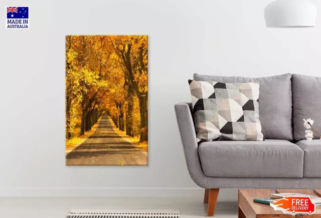 Colorful Autumn Road in Northern Poland Nature Stretched Canvas 60x90cm Print