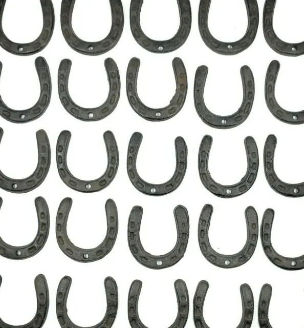 Tiny Cast Iron Lucky Horseshoes Western Craft Rustic Ranch Home Decor  Set 100