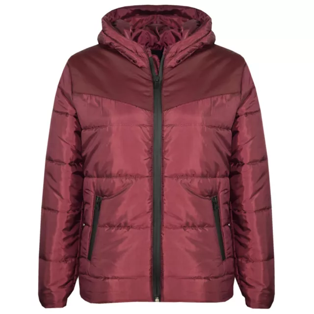 Bambini Ragazzi Giacca Piumino Imbottito Caldo Bolle Zip Cappuccio 3-13 Years