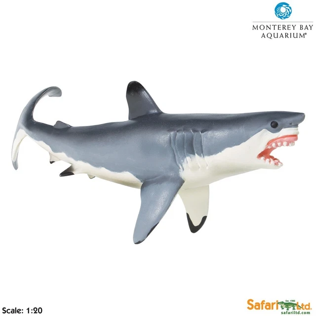 GREAT WHITE SHARK by Safari Ltd;toy/sharks/211202/MONTEREY BAY COLLECTION