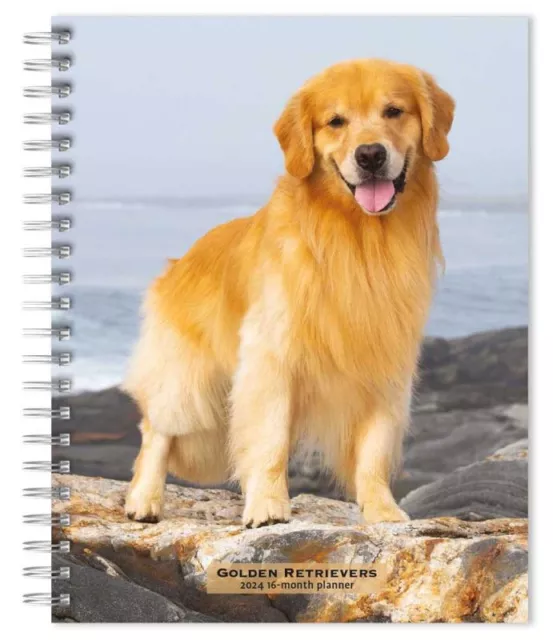 Browntrout Golden Retrievers 2024 6 x 7.75 Inch Engagement Planner w