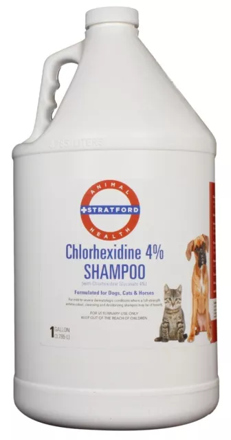 Chlorhexidine 4% Shampoo [Plum/Blueberry Scent] [Stratford] (1 Gallon)