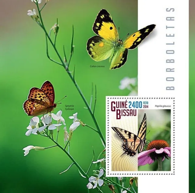 BUTTERFLIES Insects MNH Stamp Sheet #556 (2014 Guinea-Bissau)