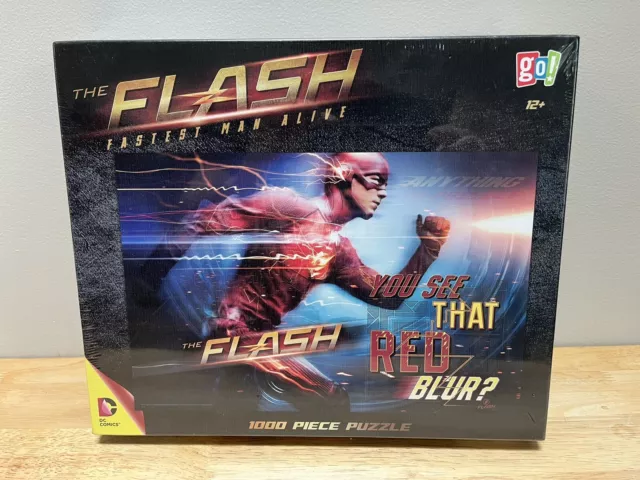 Go! Games DC Comics The Flash Fastest Man Alive 1000 Piece Jigsaw Puzzle