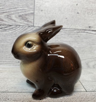 goebel brown bunny