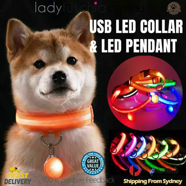 USB Rechargeable LED Dog Collar Nylon Glow Flashing Light Up Safety Pet Collars