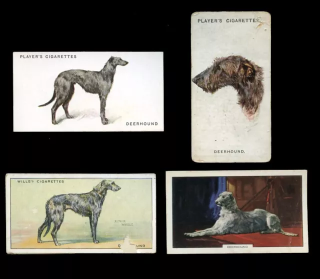 DEERHOUND SCOTTISH DOG VINTAGE CIGARETTE CARDS - Collection of 4 all original