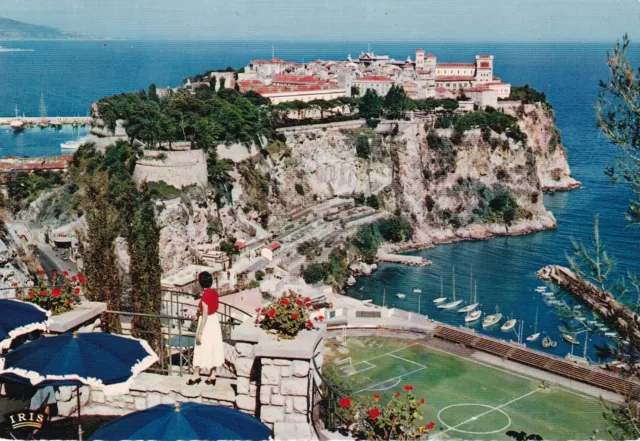 3/Carte Postale - Le Rocher de Monaco vu du Jardin Exotique