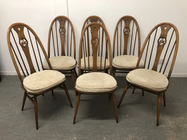 6 ERCOL SWAN Back Dining Chairs Golden Dawn Windsor 876