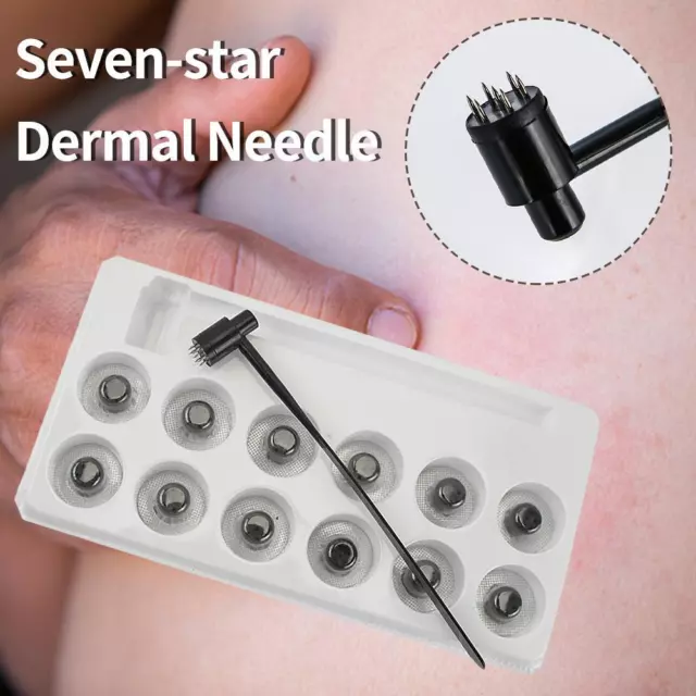 7-Star Pipe Plum Blossom Bullet Dermal Seven Star Needle 12/24 heads Cloud;