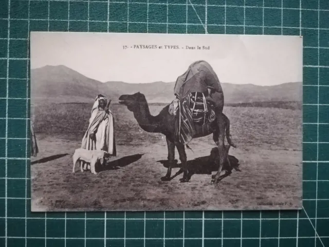TN014 CPA BE circa 1940 Algérie - scène et type - homme nomade chien fusil droma