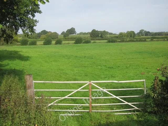 Photo 6x4 Field by Hope House Lane Linkhill  c2011