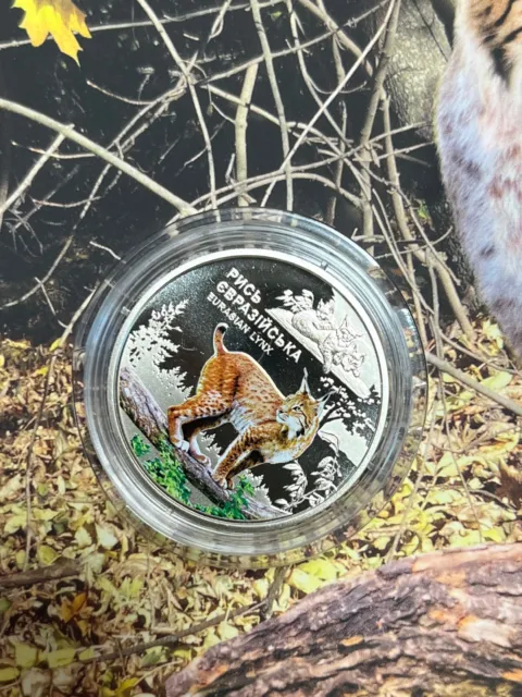 5 Hryven - Ukraine Coin 2023. NEW! Chornobyl Rebirth. Eurasian Lynx in Booklet