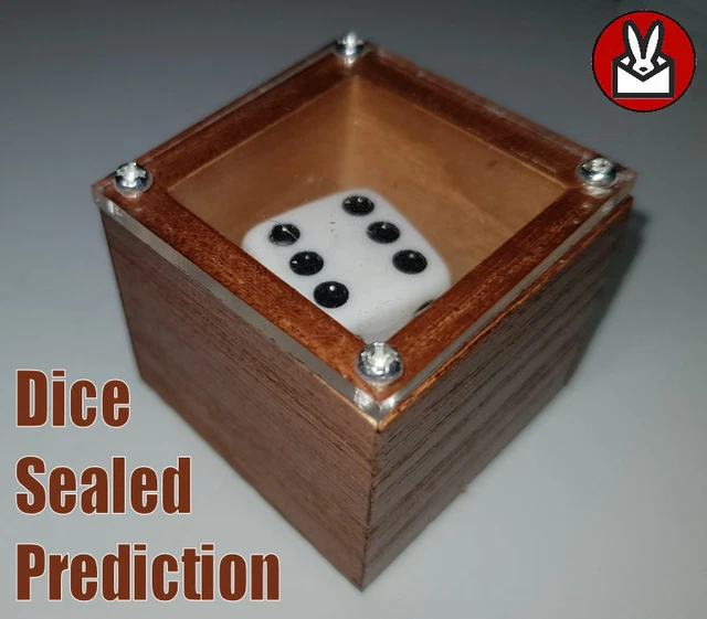SEALED DICE PREDICTION Puzzle Box Gambler Spirit Magic Trick Seal In