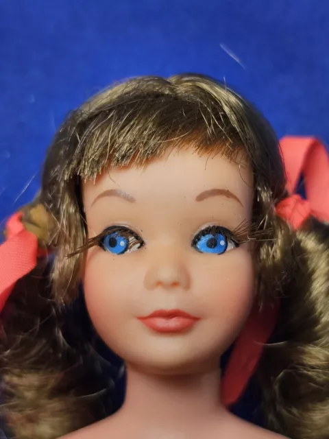 Vintage MOD Barbie Brunette Sausage Curl TNT Skipper
