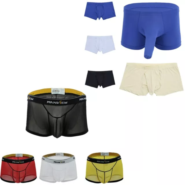 MEN SEE-THROUGH SEXY Boxer Sheer Mesh Pouch Underwear Briefs Pants ...