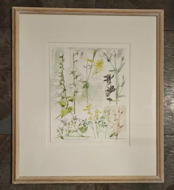 Original Framed Botanical Watercolour Art of Flowers Blooming by Sheila Jackon