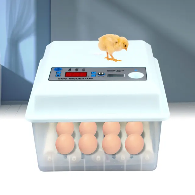 Automatic Egg Turning System Chain Incubator Industrial Accessories 16 Eggs 110V