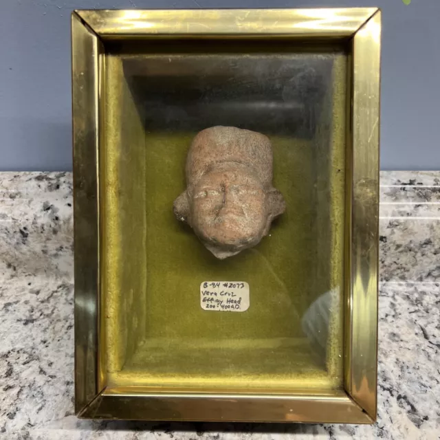 Pre Columbian Vera Cruz Totonaca terracotta Effigy head 200-400 A.D. ?