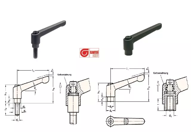 GANTER Verstellbarer Klemmhebel GN 300 verschiedene Ausführungen zur Auswahl