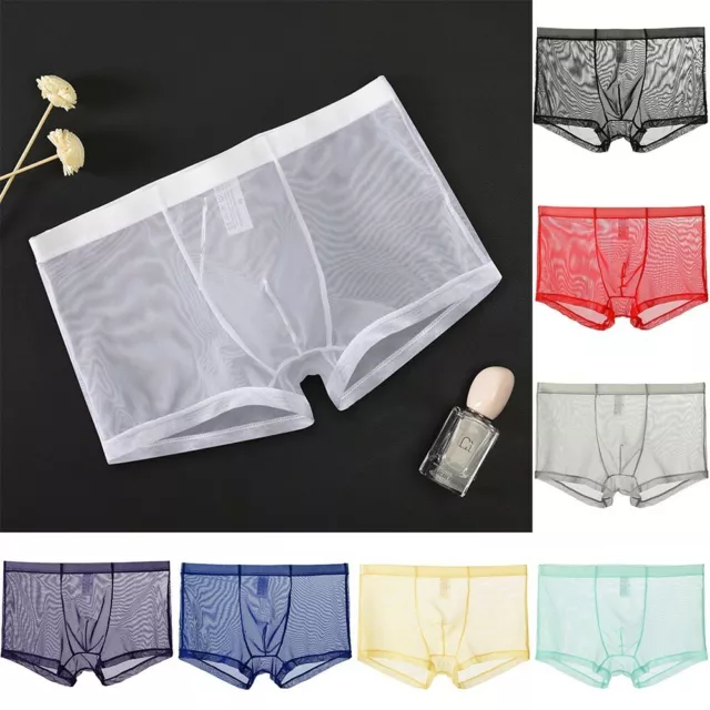 Hommes Pur Maille Transparent Boxer Slips Culottes sous-V��tement Slip Culotte