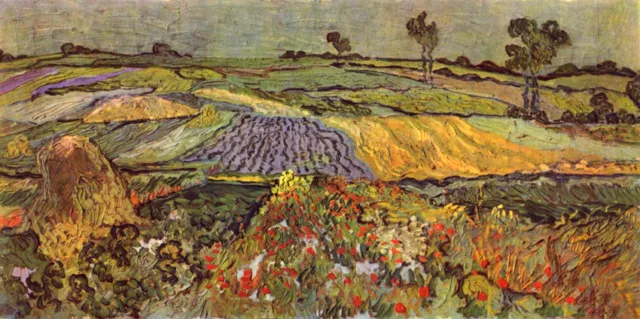 Oil painting Vincent Van Gogh - Spring field landscape with flowers hand painted